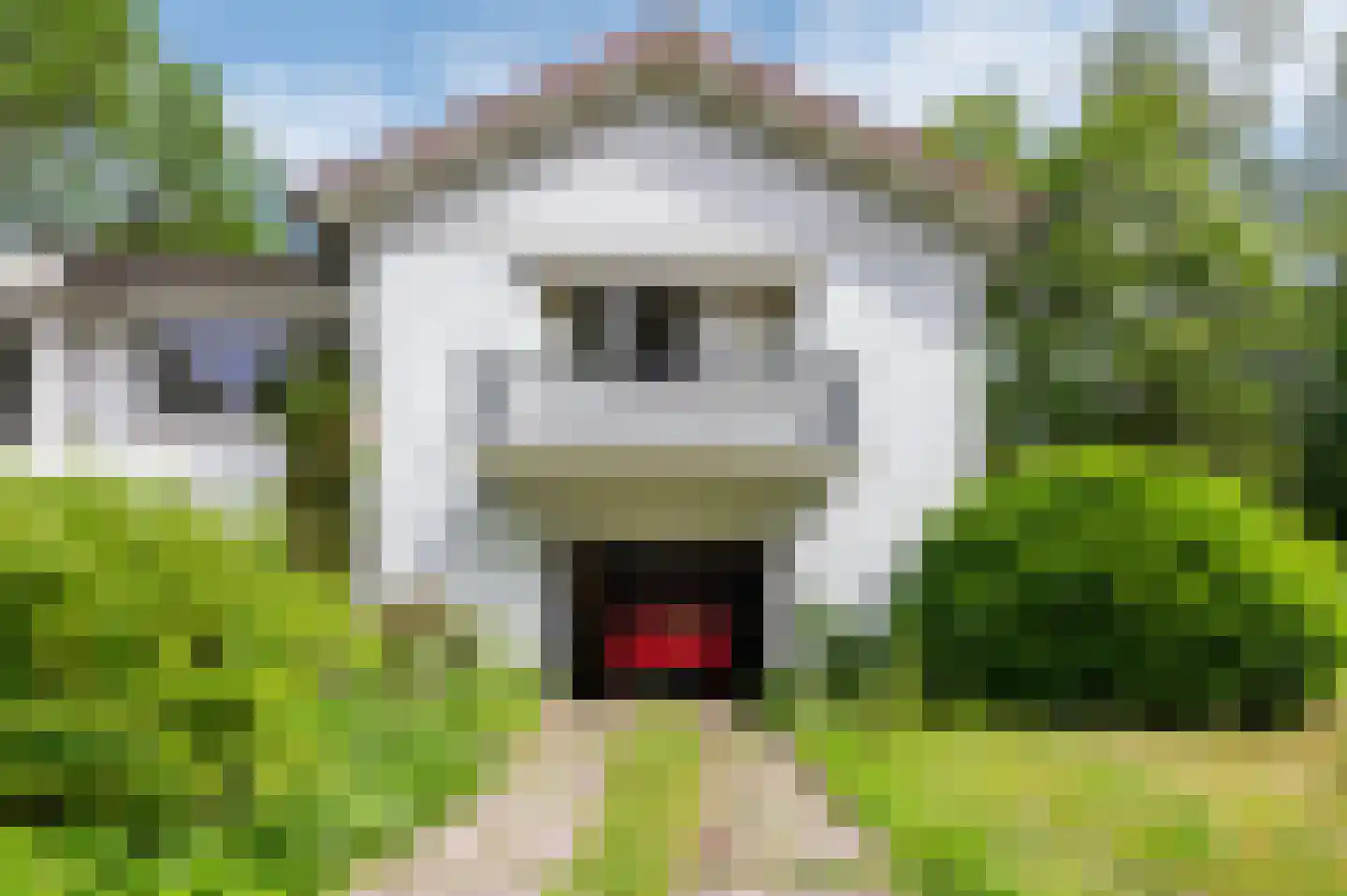Goorseweg 56 Markelo thumbnail 32