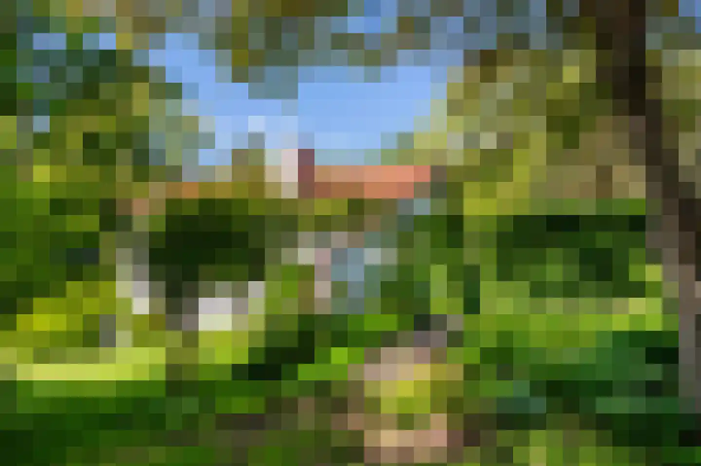 Goorseweg 56 Markelo thumbnail 33