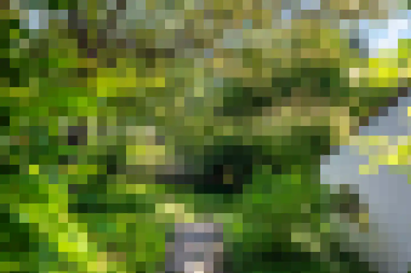 Goorseweg 56 Markelo thumbnail 34