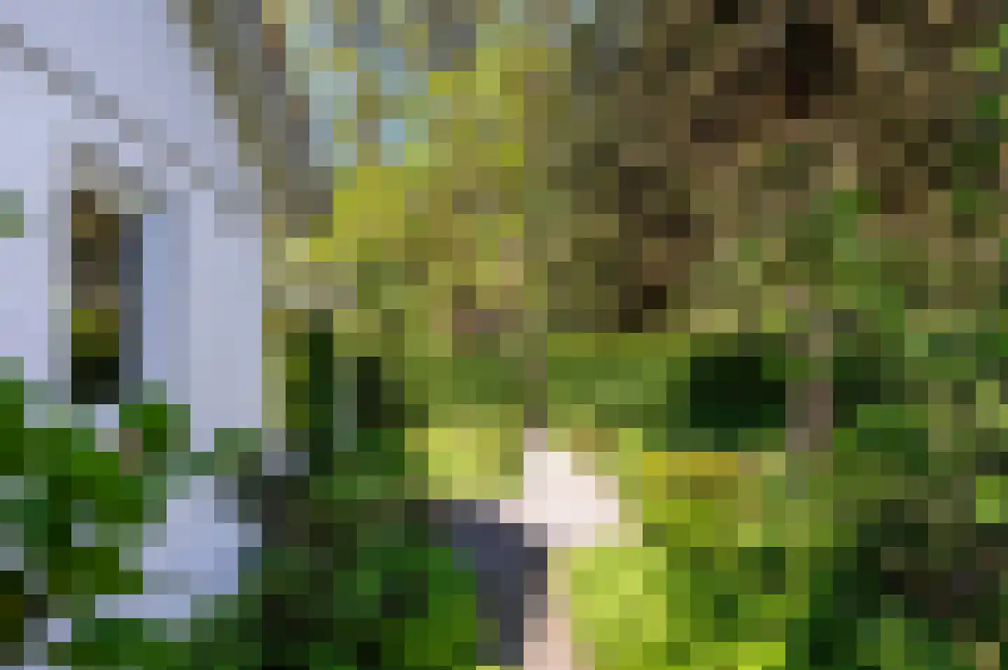 Goorseweg 56 Markelo thumbnail 35