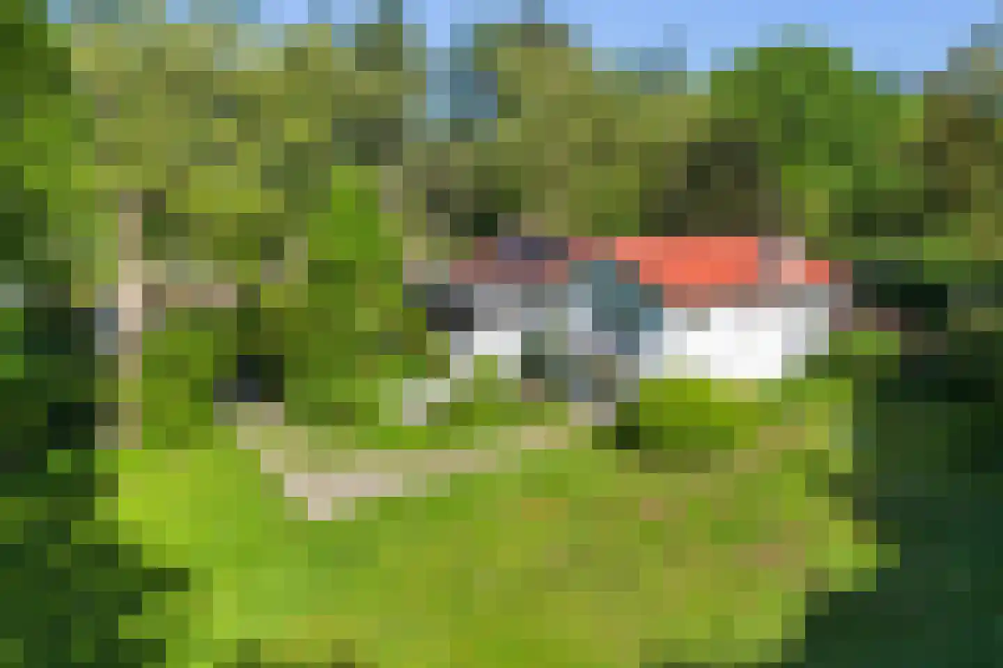 Goorseweg 56 Markelo thumbnail 36