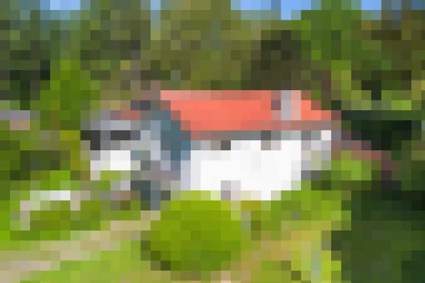Goorseweg 56 Markelo thumbnail 37