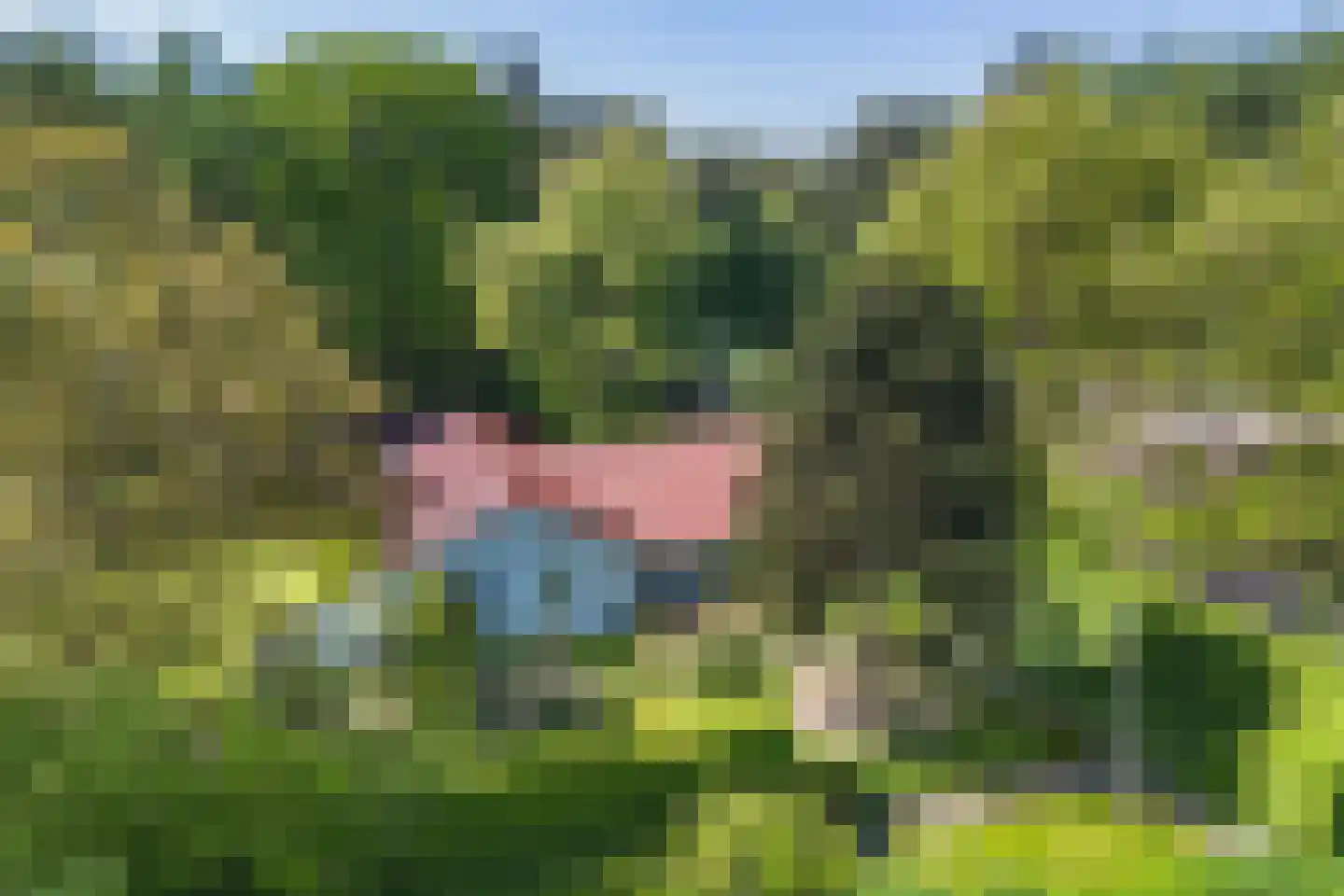 Goorseweg 56 Markelo thumbnail 38