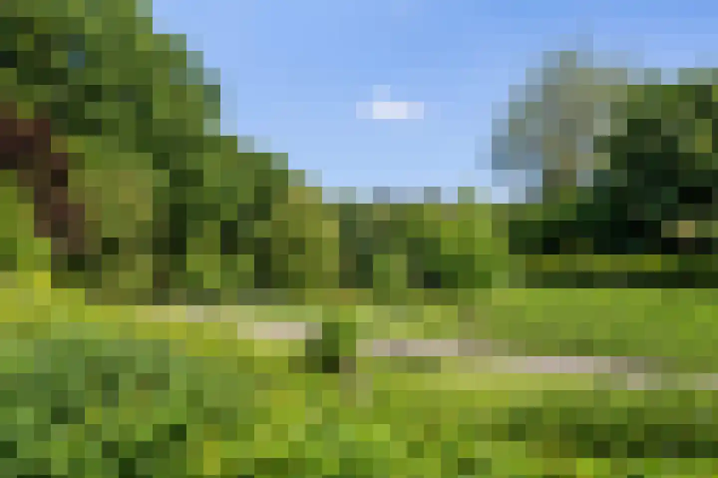 Goorseweg 56 Markelo thumbnail 39