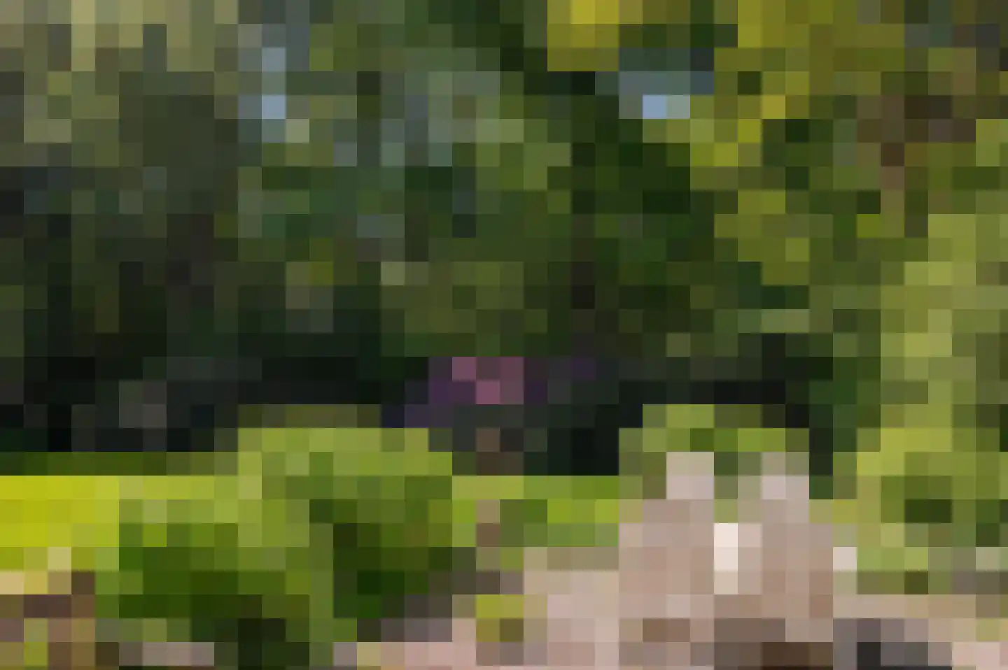 Goorseweg 56 Markelo thumbnail 8