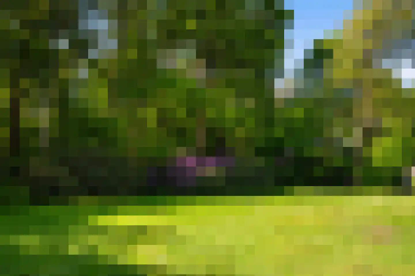 Goorseweg 56 Markelo thumbnail 9