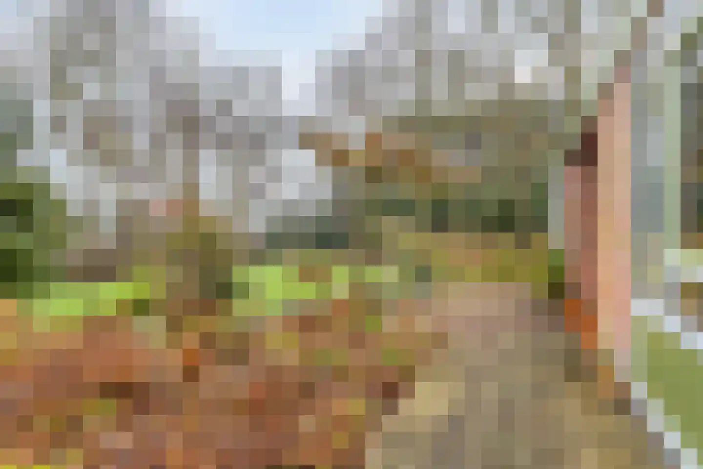 Goorsprake 2 Norg thumbnail 28