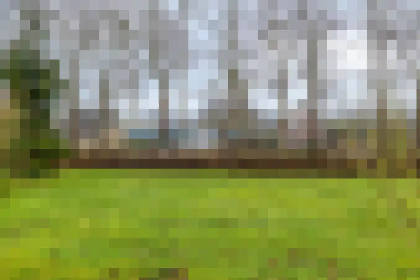 Goorsprake 2 Norg thumbnail 30