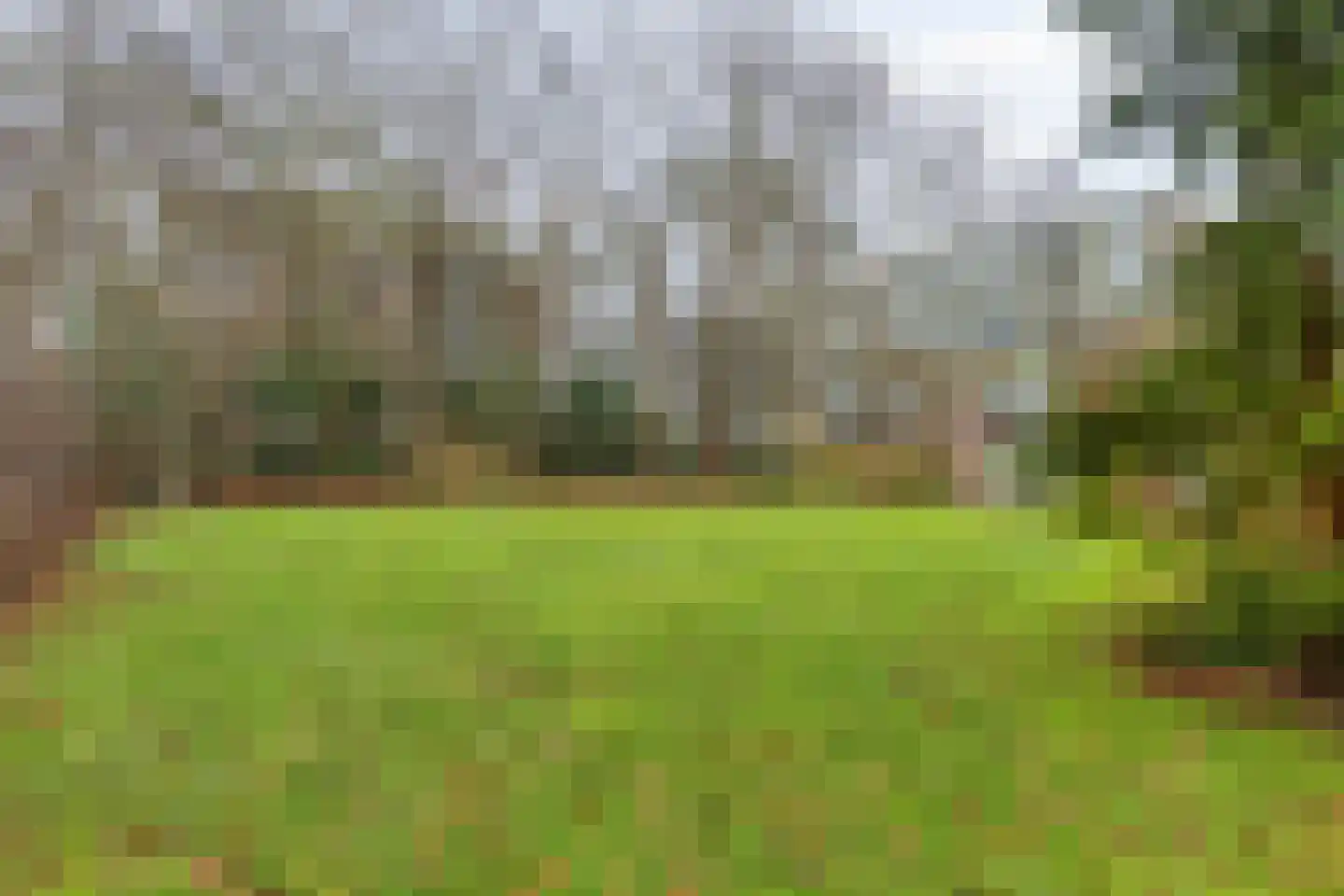 Goorsprake 2 Norg thumbnail 31