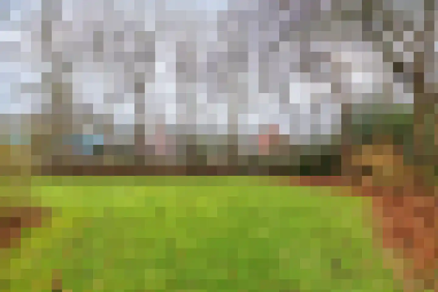 Goorsprake 2 Norg thumbnail 32