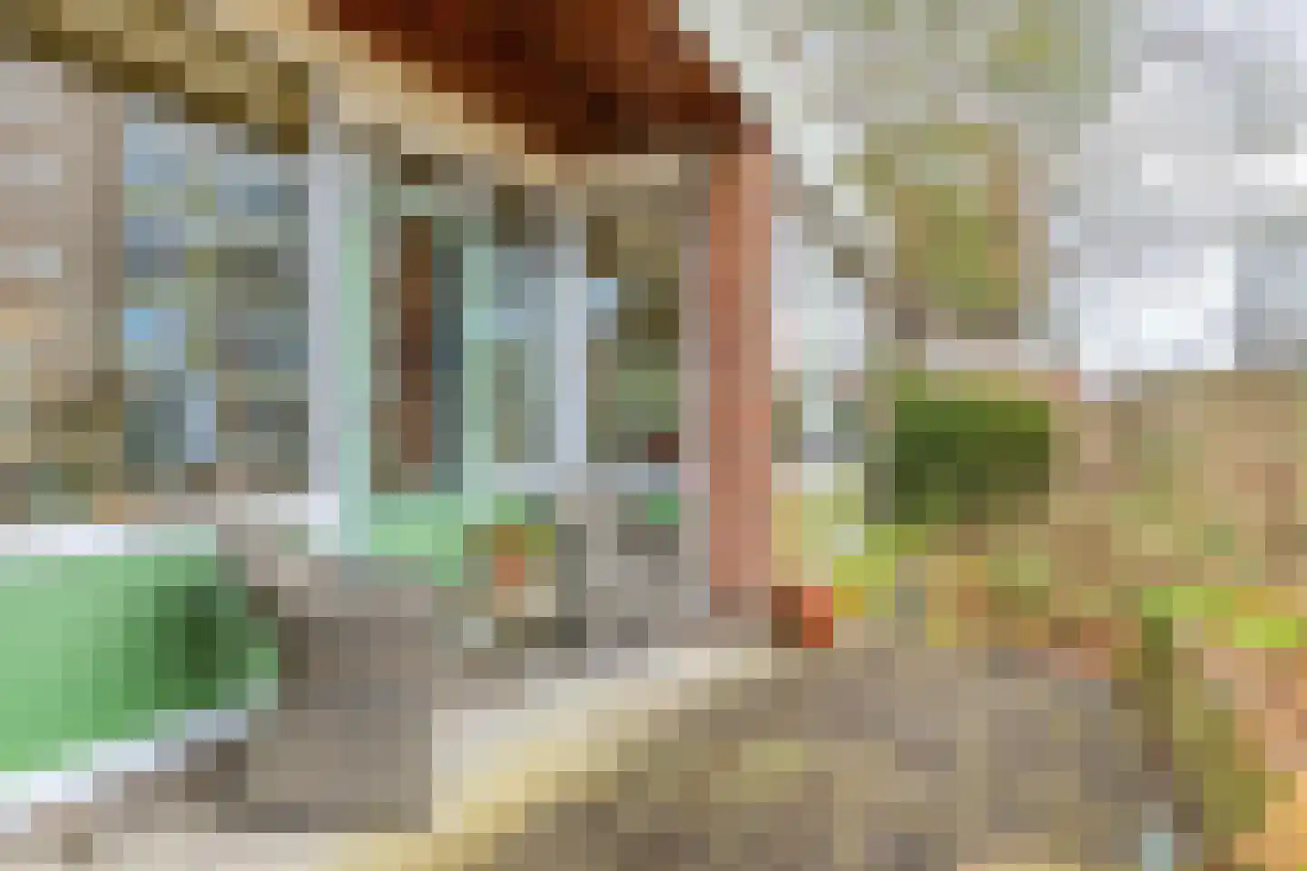 Goorsprake 2 Norg thumbnail 38