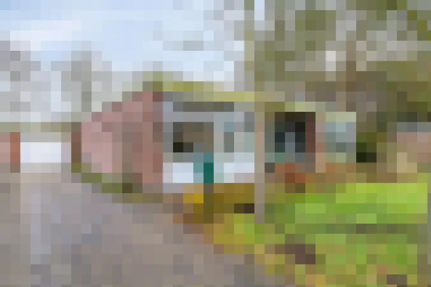 Goorsprake 2 Norg thumbnail 39