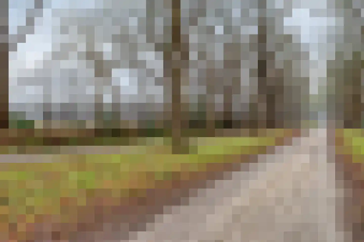 Goorsprake 2 Norg thumbnail 45