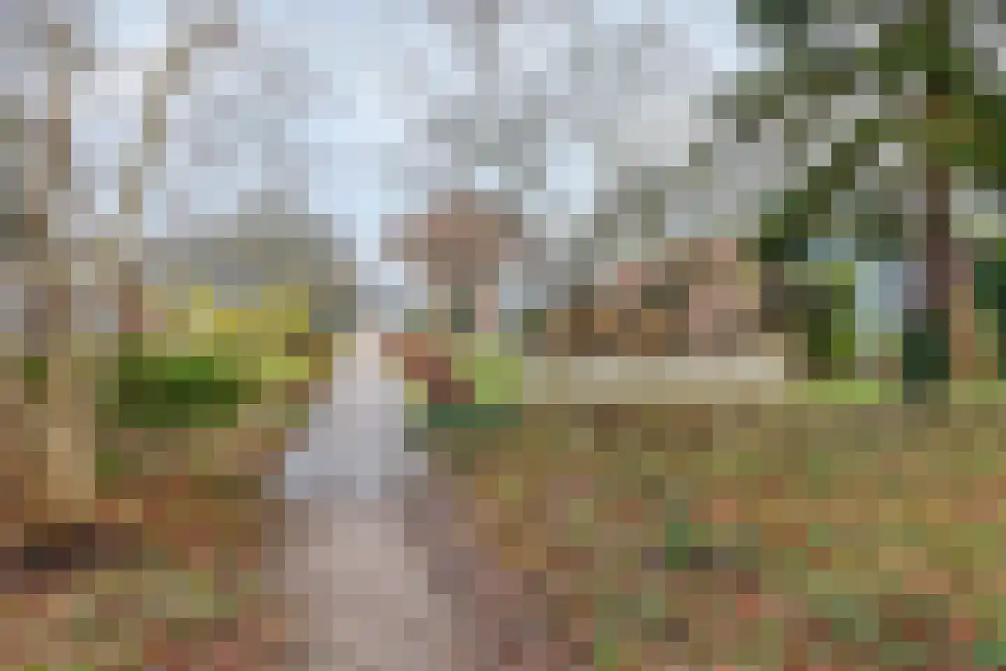 Goorsprake 2 Norg thumbnail 46