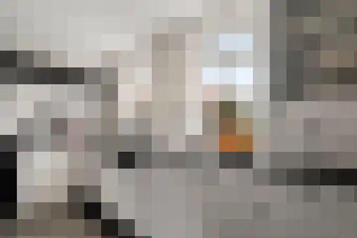 Goorsteeg 1 B Lunteren thumbnail 14