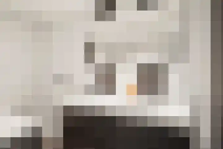 Goorsteeg 1 B Lunteren thumbnail 28