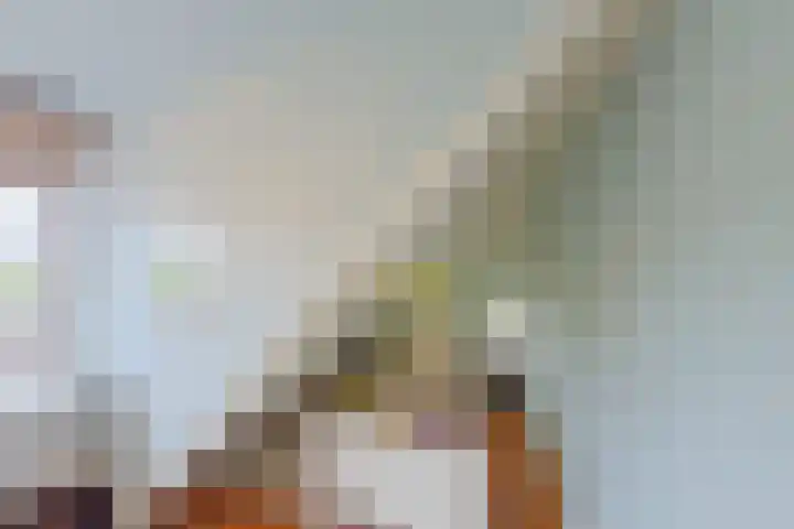 Goorsteeg 1 B Lunteren thumbnail 42