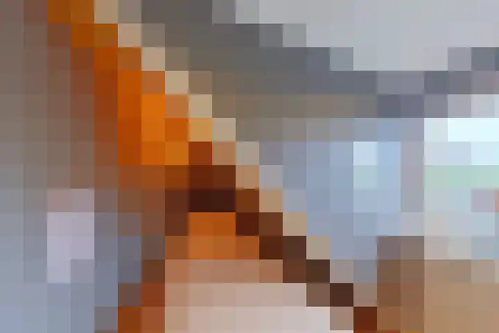 Goorsteeg 1 B Lunteren thumbnail 45