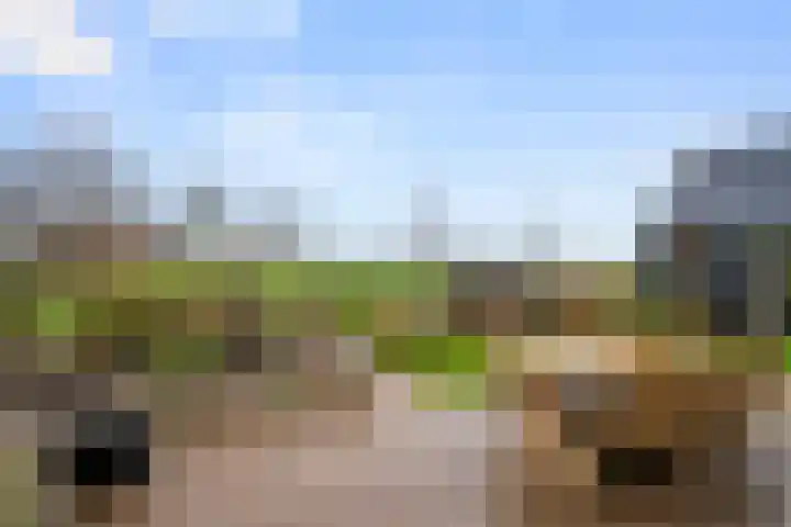 Goorsteeg 1 B Lunteren thumbnail 5