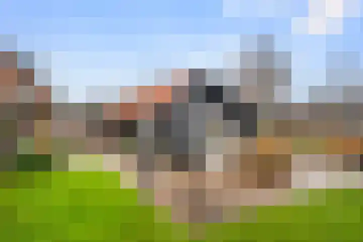 Goorsteeg 1 B Lunteren thumbnail 50