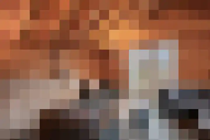 Goorsteeg 1 B Lunteren thumbnail 51