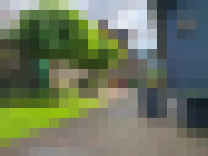 Goorsteeg 1 B Lunteren thumbnail 54