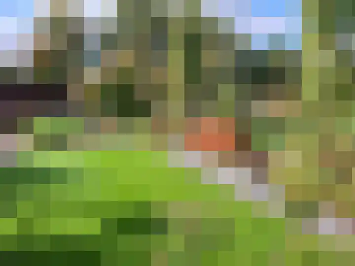 Goorsteeg 1 B Lunteren thumbnail 59