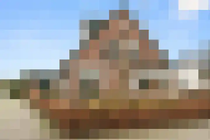 Goorsteeg 1 B Lunteren thumbnail 6