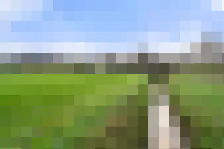 Goorsteeg 1 B Lunteren thumbnail 60