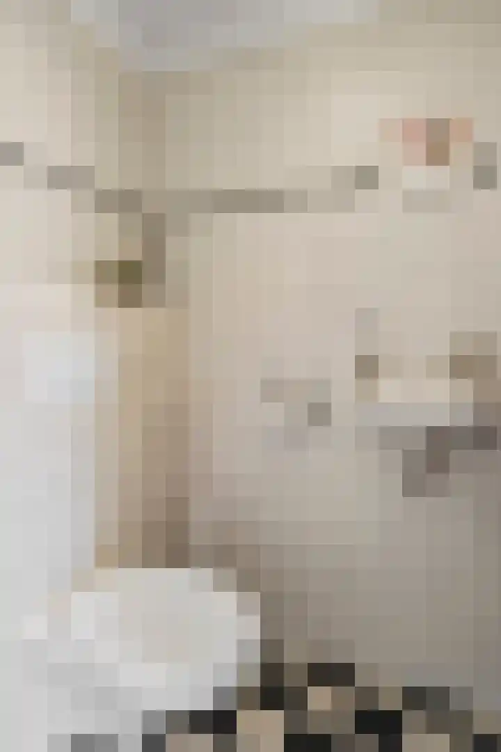 Goorsteeg 1 B Lunteren thumbnail 9