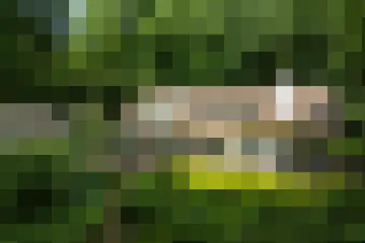 Goorsteeg 102 Ede thumbnail 50