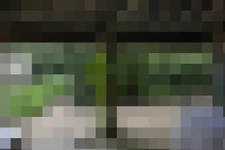 Goorsteeg 102 Ede thumbnail 76