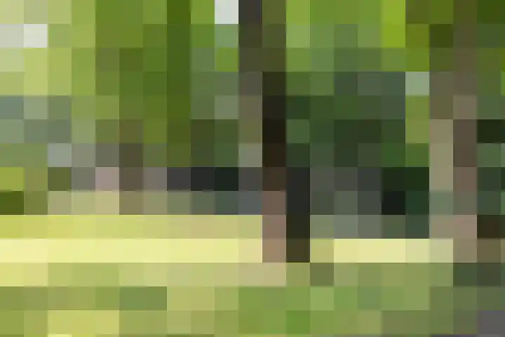 Goorsteeg 102 Ede thumbnail 77