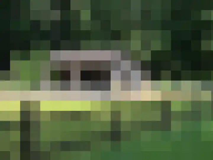 Goorsteeg 102 Ede thumbnail 86