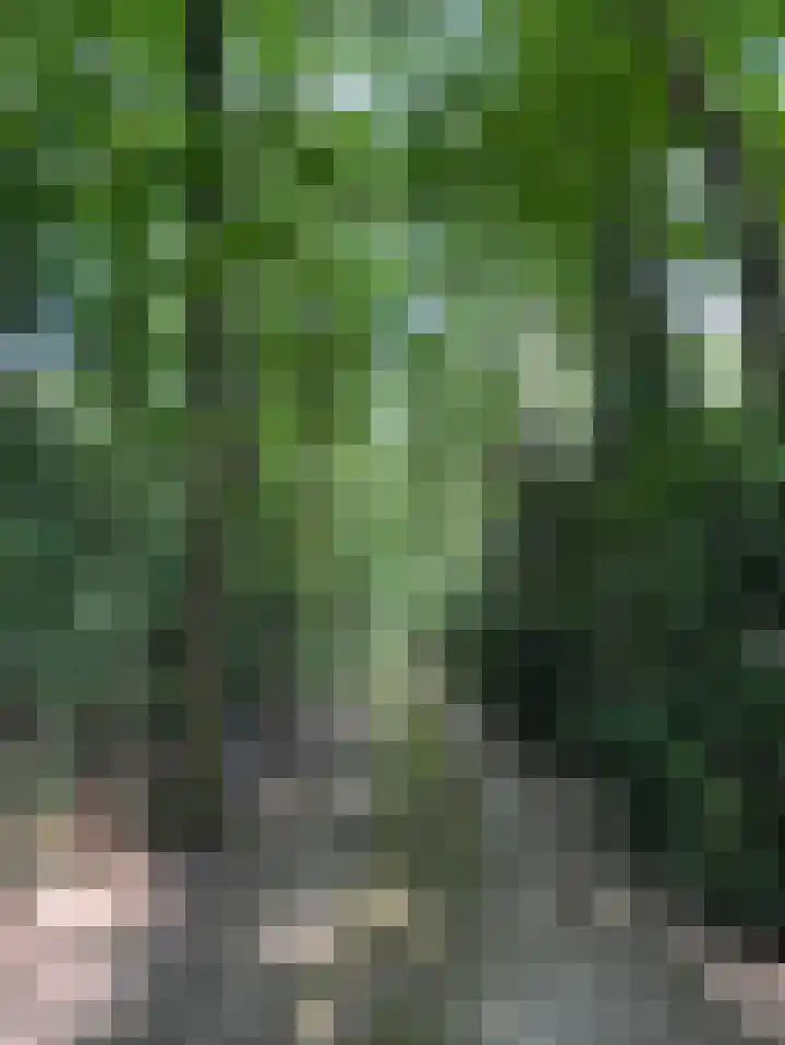 Goorsteeg 102 Ede thumbnail 88