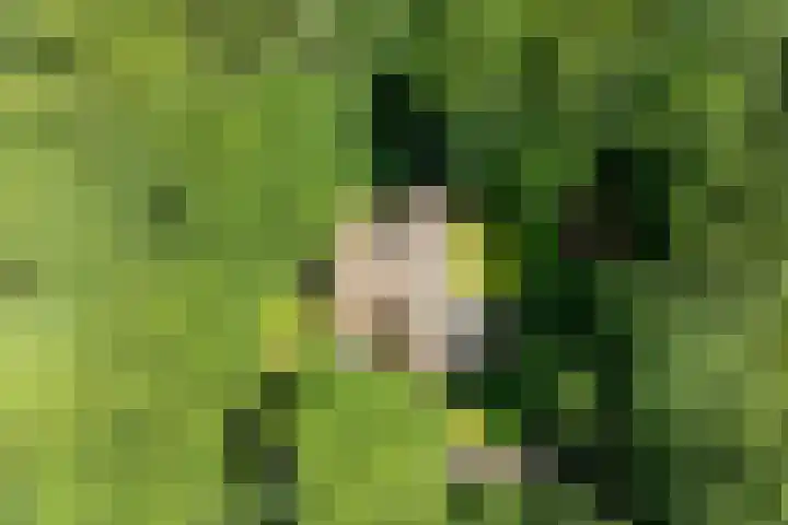 Goorsteeg 102 Ede thumbnail 90