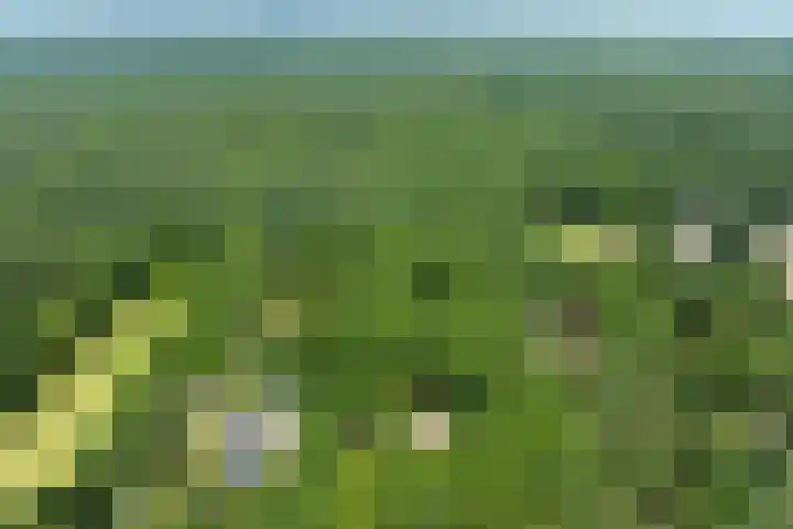 Goorsteeg 102 Ede thumbnail 92