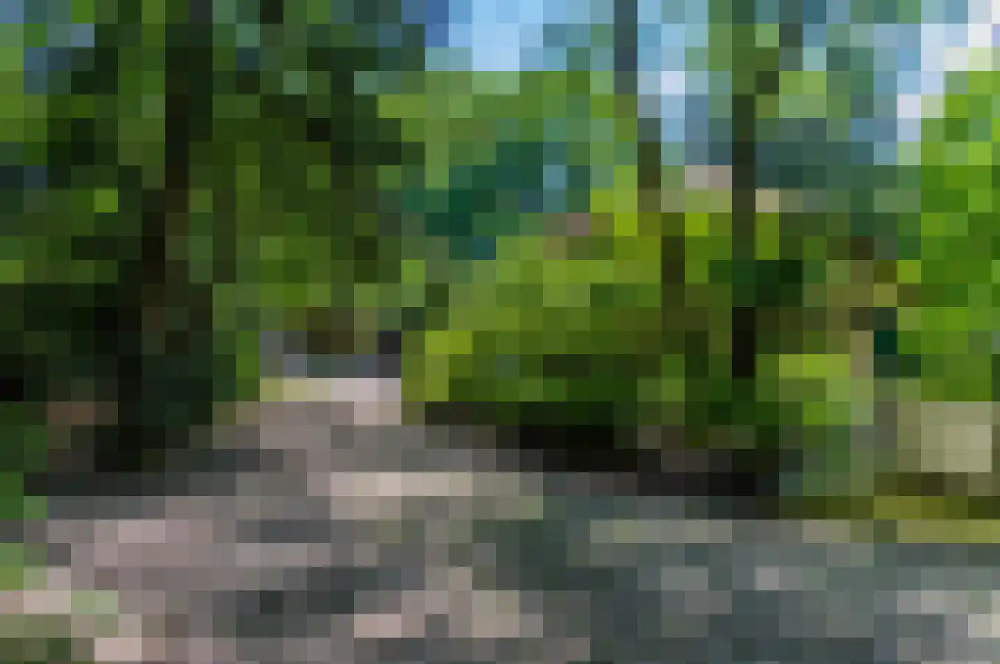 Goorsteeg 108 Ede thumbnail 13
