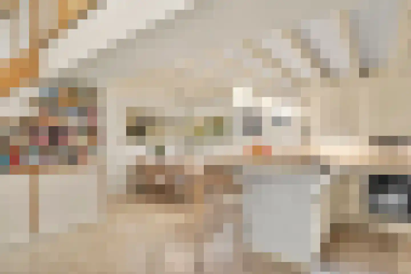 Goorsteeg 108 Ede thumbnail 18
