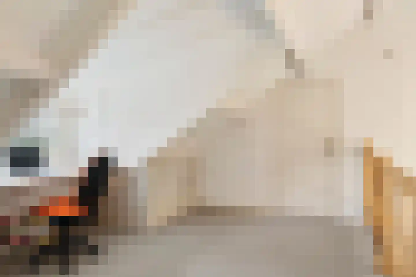 Goorsteeg 108 Ede thumbnail 26