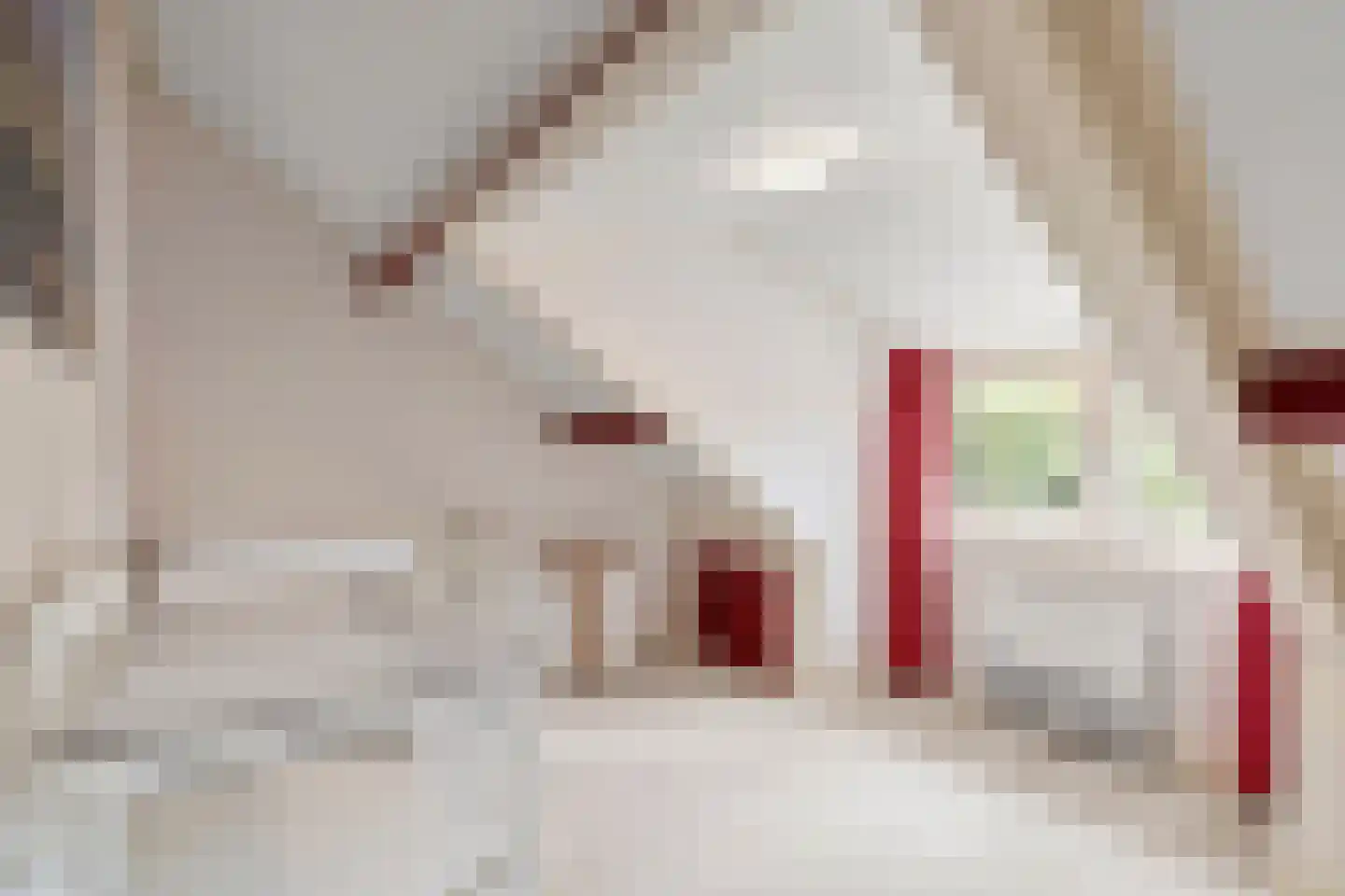 Goorsteeg 108 Ede thumbnail 42