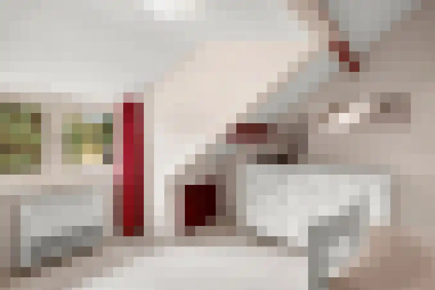 Goorsteeg 108 Ede thumbnail 43