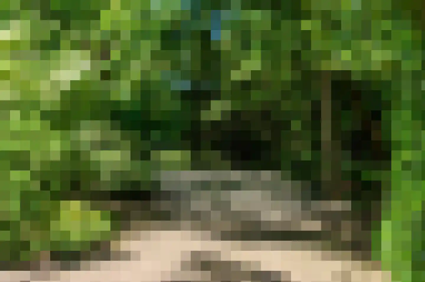 Goorsteeg 108 Ede thumbnail 65