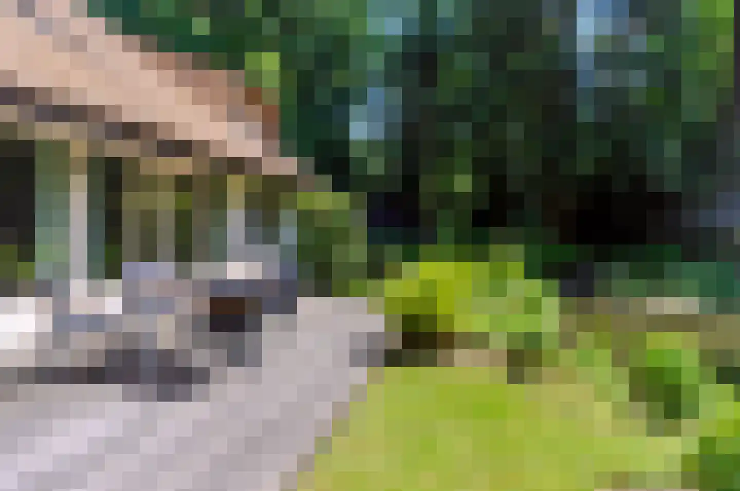 Goorsteeg 108 Ede thumbnail 7