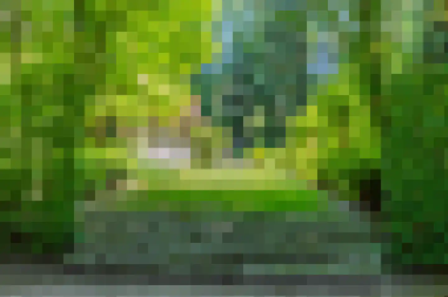 Goorsteeg 108 Ede thumbnail 8