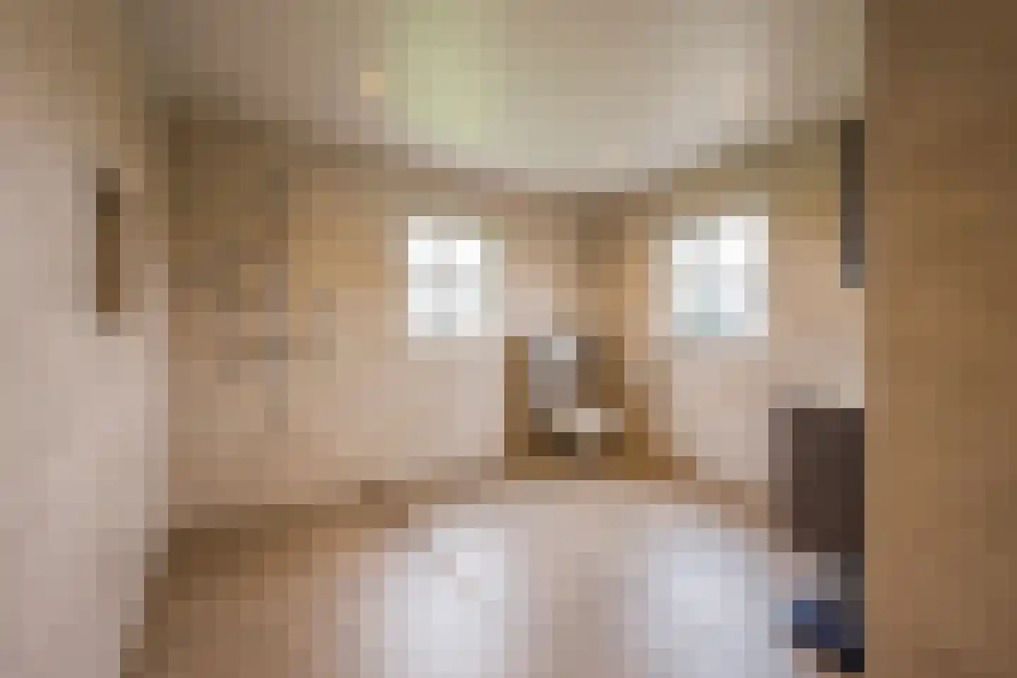 Goorsteeg 2 Ede thumbnail 14
