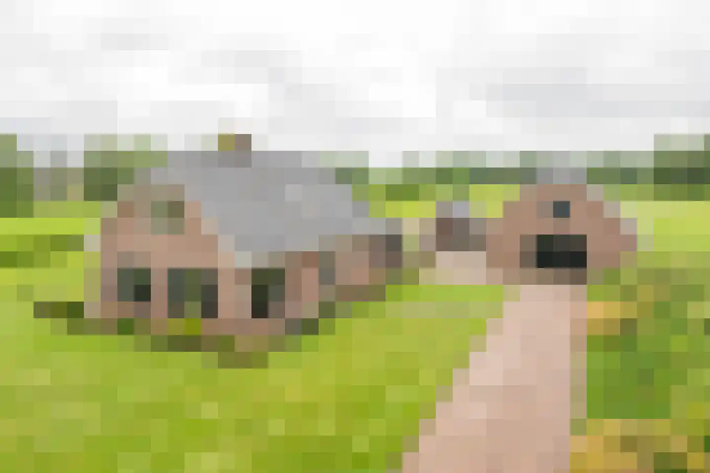 Goorsteeg 2 Ede thumbnail 40