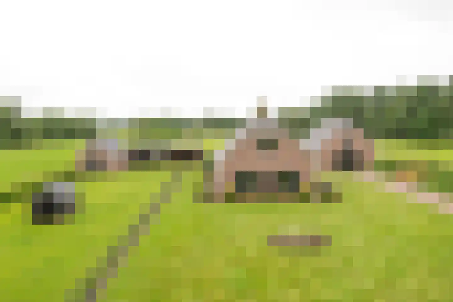 Goorsteeg 2 Ede thumbnail 41