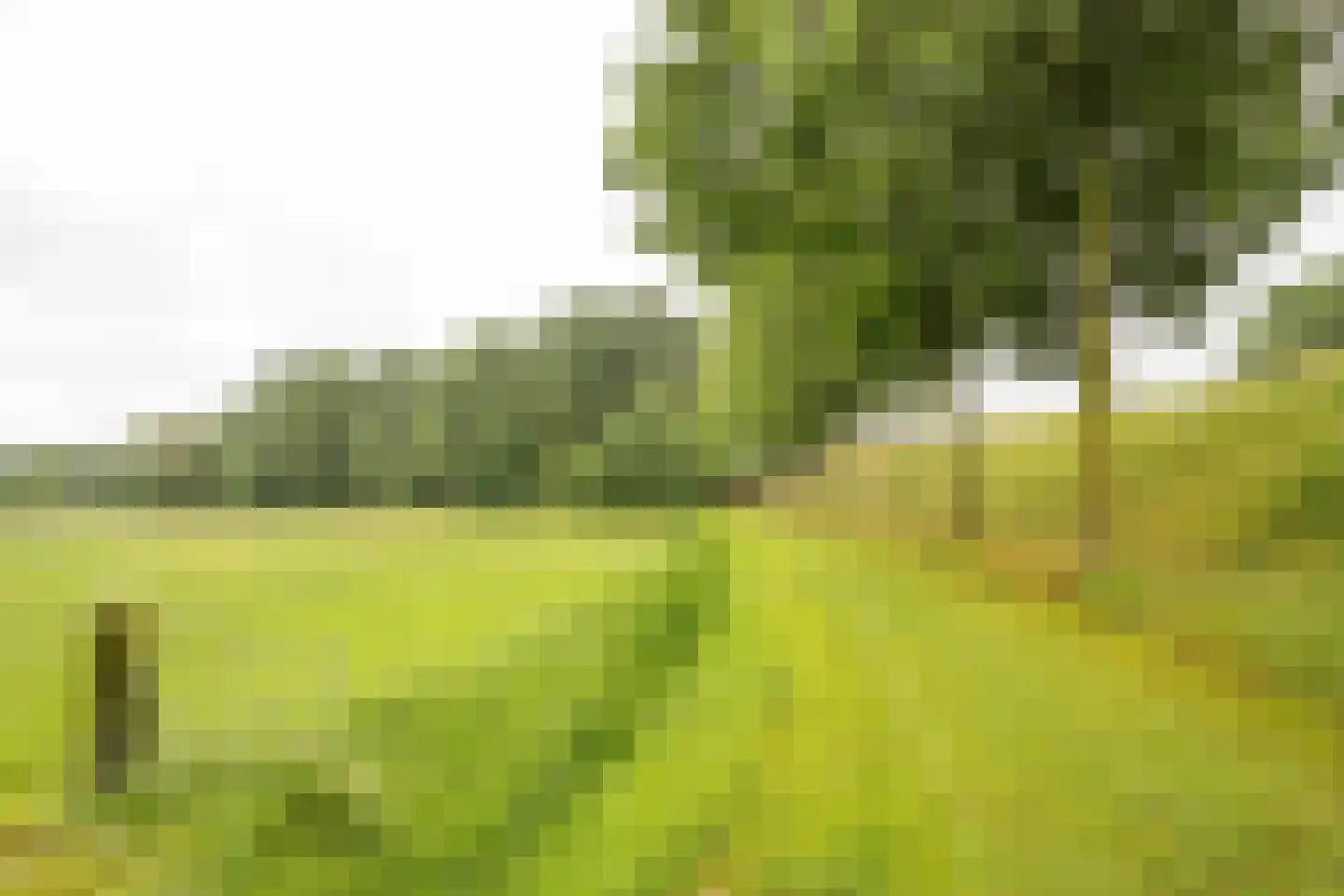 Goorsteeg 2 Ede thumbnail 43
