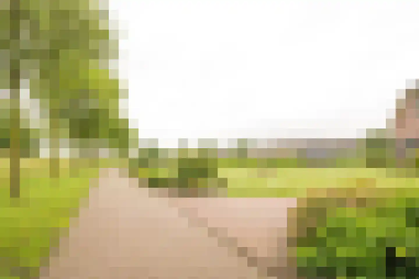 Goorsteeg 2 Ede thumbnail 44